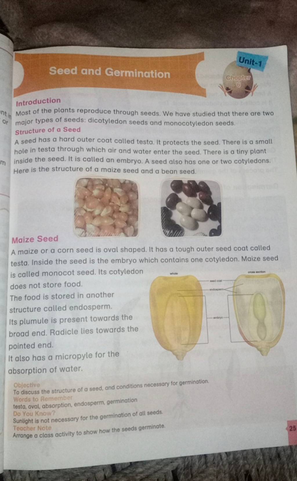 Seed and Germination Introduction Most of the plants reproduce through s..