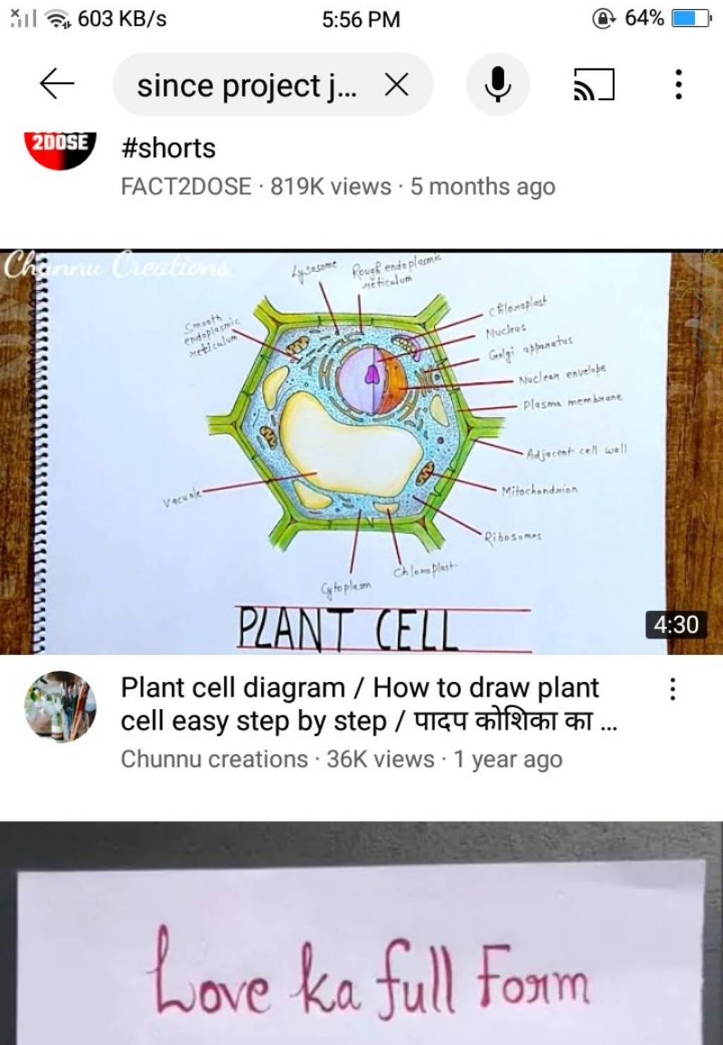 PLANT CELL Plant cell diagram / How to draw plant cell easy step by step