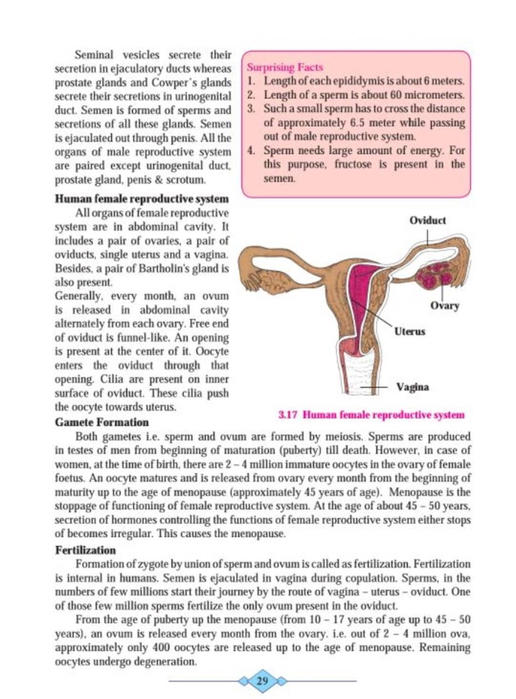 Seminal vesicles secrete their secretion in ejaculatory ducts whereas pro..