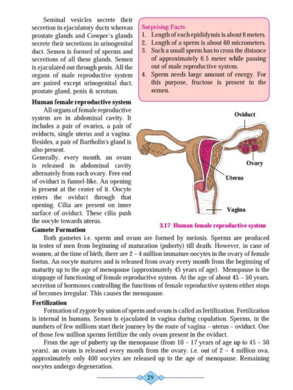 Seminal vesicles secrete their secretion in ejaculatory ducts whereas pro..