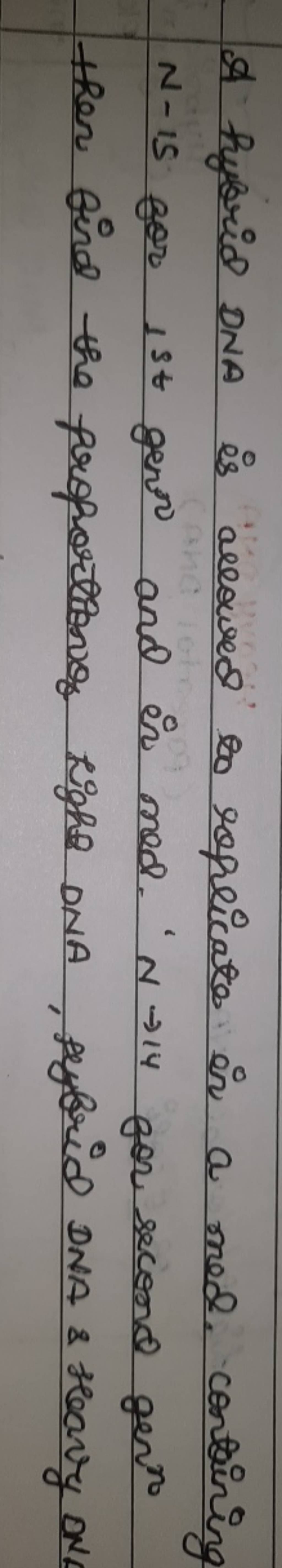 A hybrid DNA is aceoved to replicate in a mod. containing N−15 for st gen..