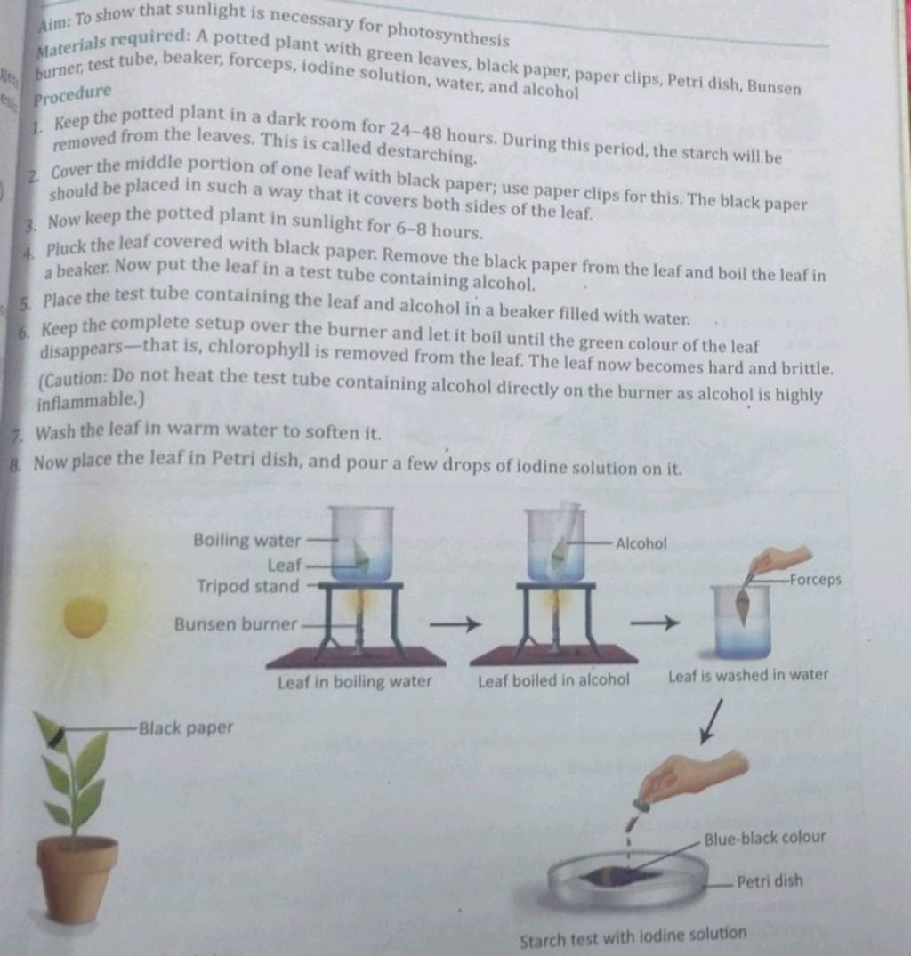 Aim To show that sunlight is necessary for photosynthesis taterials requ..