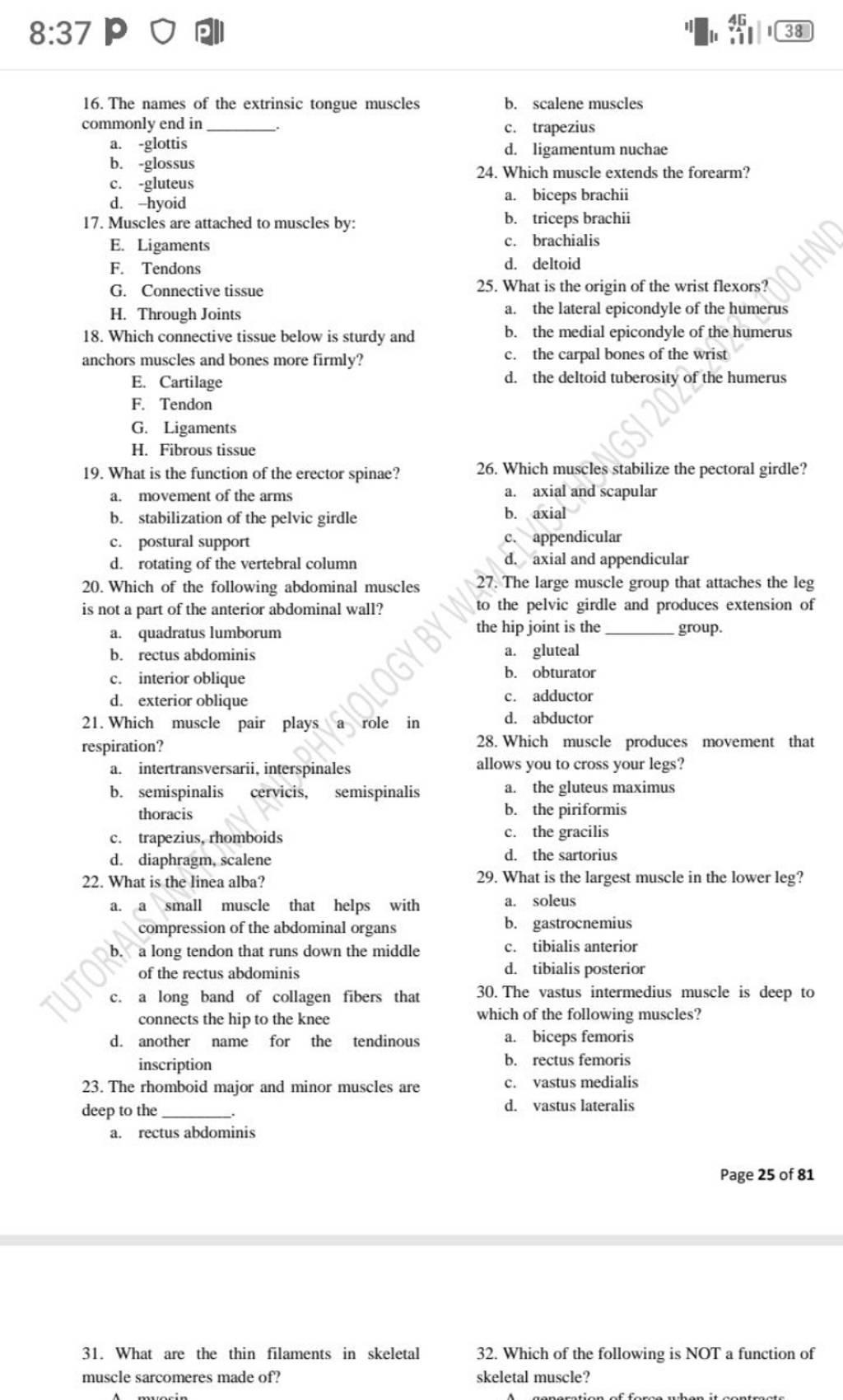 the-rhomboid-major-and-minor-muscles-are-deep-to-the-filo