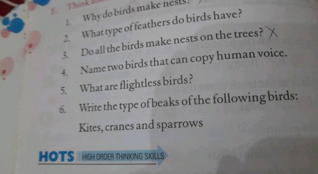 1. Why do birds make nests 2. What type of feathers do birds have? 3. Do..