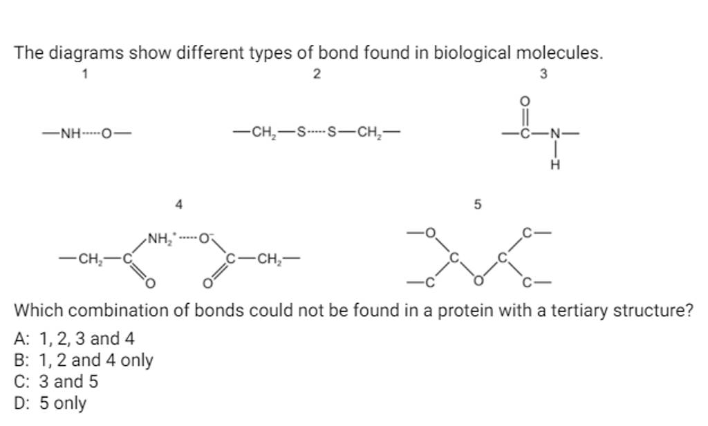 The diagrams show different types of bond found in biological molecules.