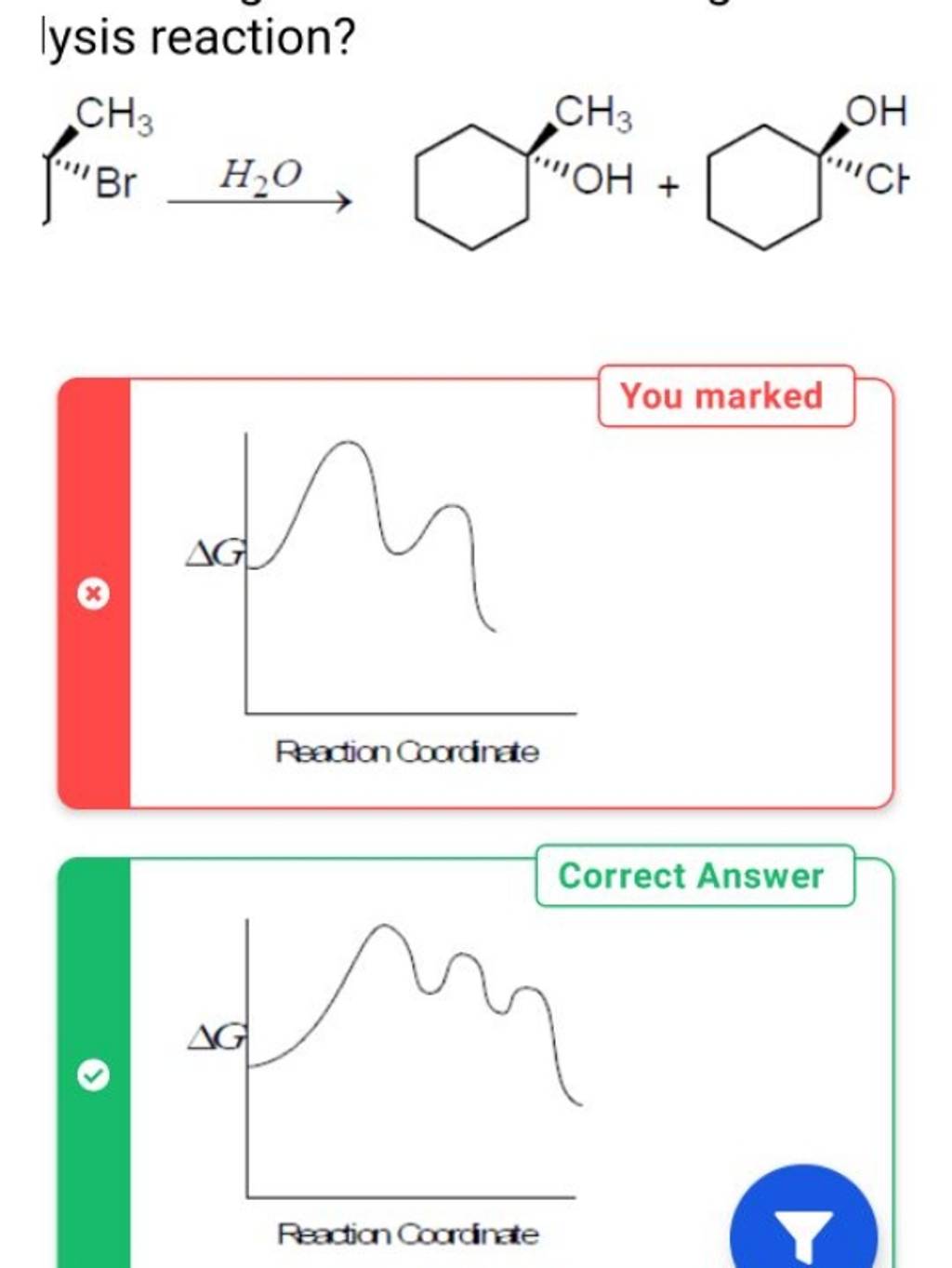 lysis-reaction-filo